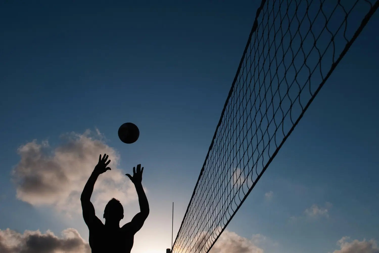 Pallavolo